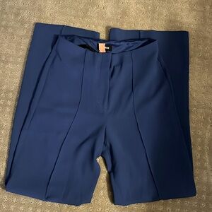 Basically Brand New Blue Express Pants